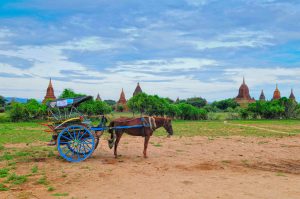 Bagan Horse Cart (Ministry of Hotels and Tourism, Myanmar photo)