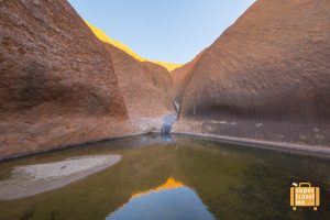 Ayers Rock - Kapi Mutitjulu Watering Hole