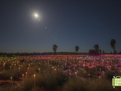 Field of Light Uluru 2017 with moonlight