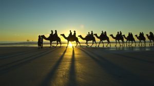 Ride a Camel at Sunset on Cable Beach in Broome, Western Australia.