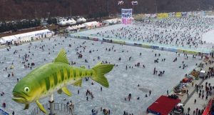 This 2017 file photo shows visitors watching sancheoneo, a type of mountain trout, during the annual Hwacheon Sancheoneo Ice Festival in Hwacheon (PHOTO CREDIT: NARA Foundation)