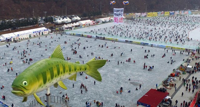 This 2017 file photo shows visitors watching sancheoneo, a type of mountain trout, during the annual Hwacheon Sancheoneo Ice Festival in Hwacheon (PHOTO CREDIT: NARA Foundation)