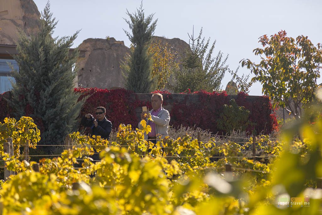 The garden at Ariana Sustainable Luxury Lodge in Cappadocia, Turkey 