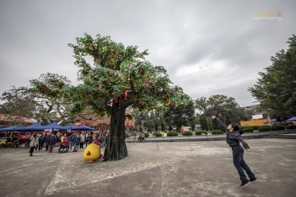 Make a Wish at the Wishing Tree in Hong Kong